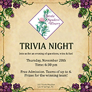 Trivia Night